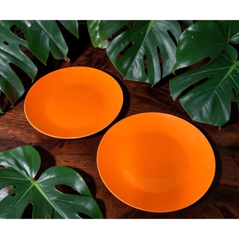 2 Royal Norfolk Dinner Plates Bright Orange Halloween 10.5 inches Festive VTG
